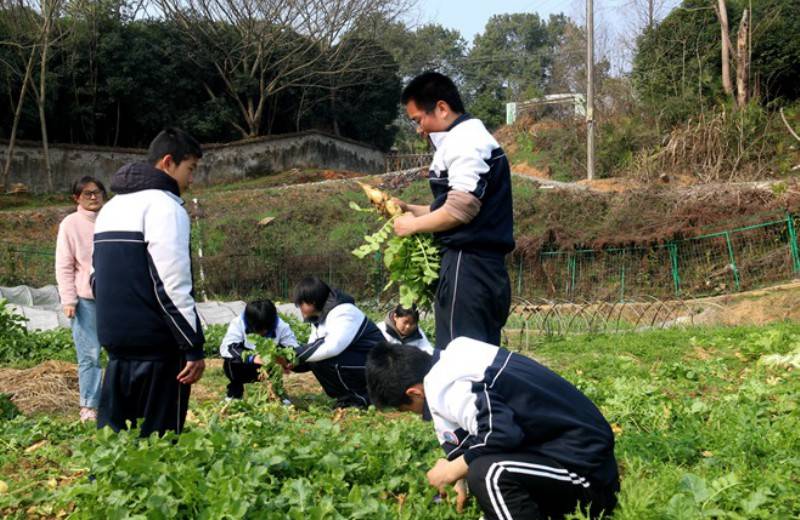 长沙湘越中bsport体育app学：湖南封闭式叛逆学校(图1)