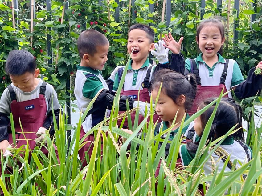 何云竹：回答好时代答卷 办影响幼儿一生的“童年花园”(图4)