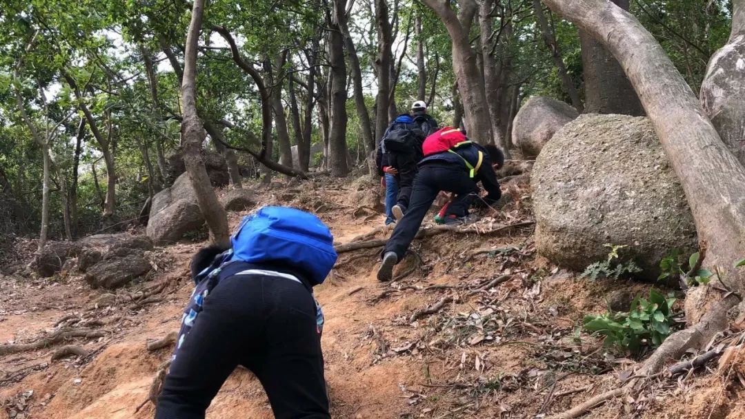 风靡全球的儿童素质教育项目你家孩子也有机会参加了(图6)