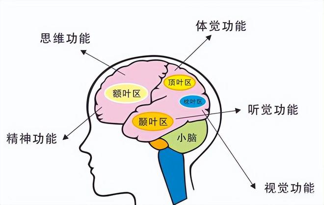 道理都懂孩子一提学习就退缩？心理学揭秘5种原因5改善策略(图4)